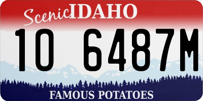 ID license plate 1O6487M