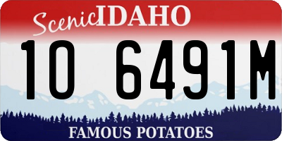 ID license plate 1O6491M