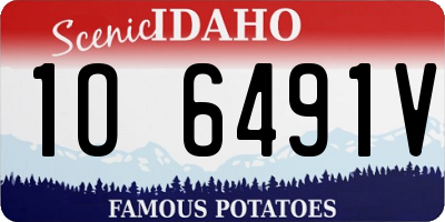 ID license plate 1O6491V