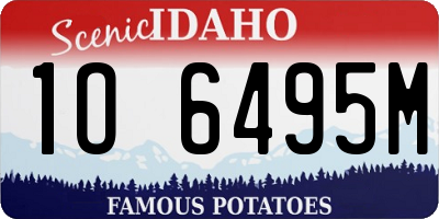 ID license plate 1O6495M