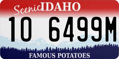 ID license plate 1O6499M