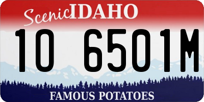 ID license plate 1O6501M