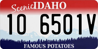 ID license plate 1O6501V