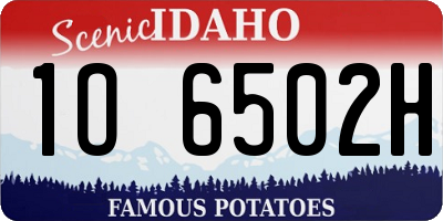 ID license plate 1O6502H