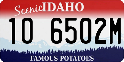 ID license plate 1O6502M
