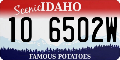 ID license plate 1O6502W