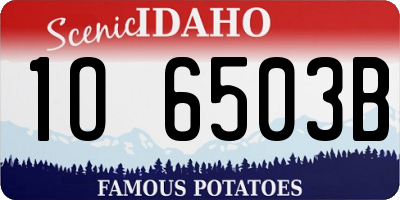 ID license plate 1O6503B
