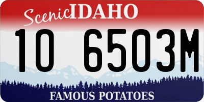 ID license plate 1O6503M