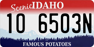 ID license plate 1O6503N