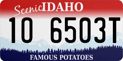 ID license plate 1O6503T