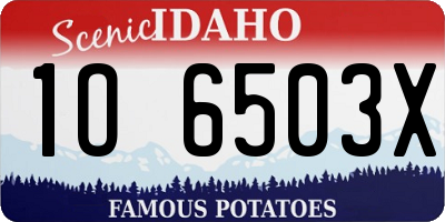 ID license plate 1O6503X