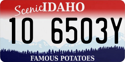 ID license plate 1O6503Y