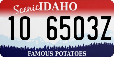 ID license plate 1O6503Z