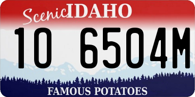ID license plate 1O6504M