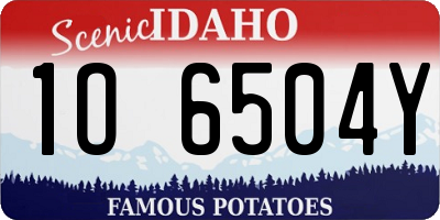 ID license plate 1O6504Y