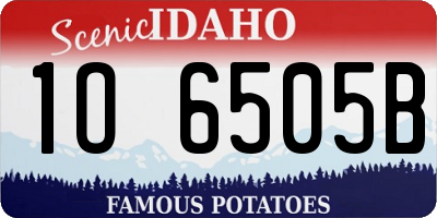 ID license plate 1O6505B