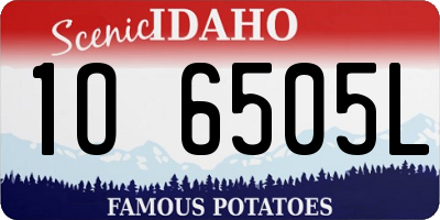 ID license plate 1O6505L