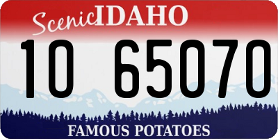 ID license plate 1O6507O