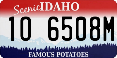 ID license plate 1O6508M