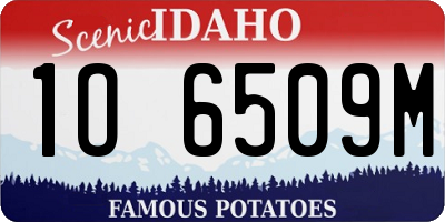 ID license plate 1O6509M