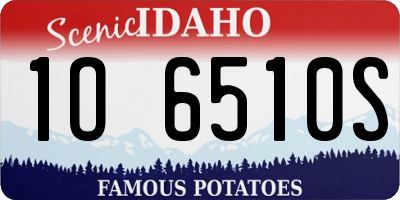 ID license plate 1O6510S