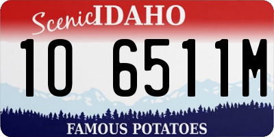 ID license plate 1O6511M