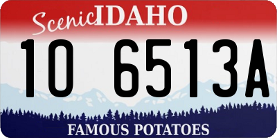 ID license plate 1O6513A