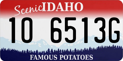 ID license plate 1O6513G