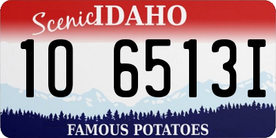 ID license plate 1O6513I