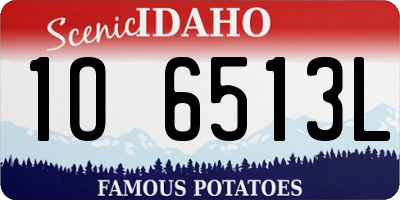 ID license plate 1O6513L