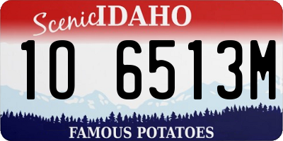 ID license plate 1O6513M