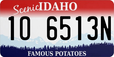 ID license plate 1O6513N