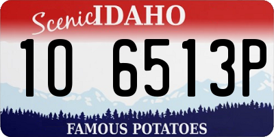 ID license plate 1O6513P