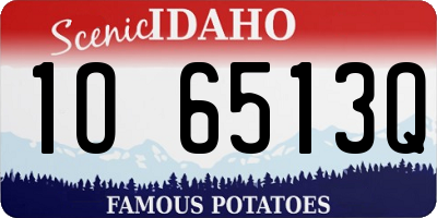 ID license plate 1O6513Q