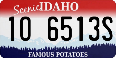 ID license plate 1O6513S