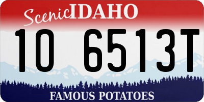 ID license plate 1O6513T