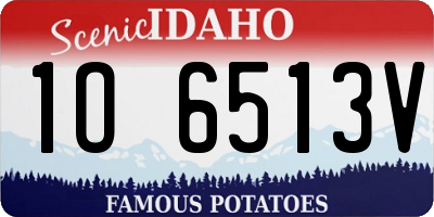 ID license plate 1O6513V