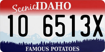 ID license plate 1O6513X