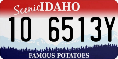 ID license plate 1O6513Y
