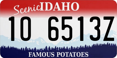 ID license plate 1O6513Z