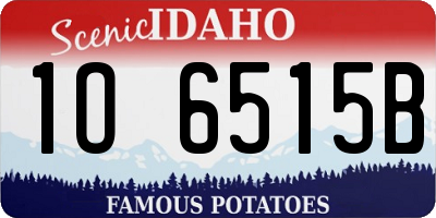 ID license plate 1O6515B