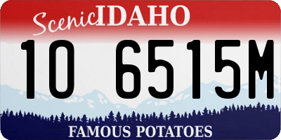 ID license plate 1O6515M