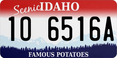 ID license plate 1O6516A