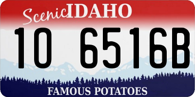 ID license plate 1O6516B