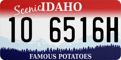 ID license plate 1O6516H