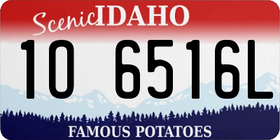 ID license plate 1O6516L