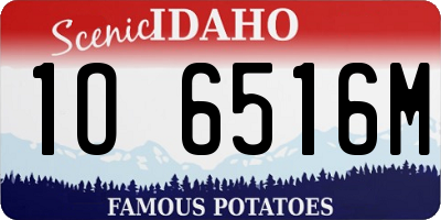 ID license plate 1O6516M