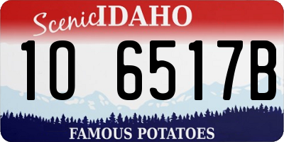 ID license plate 1O6517B