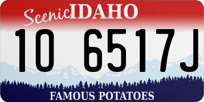 ID license plate 1O6517J