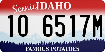 ID license plate 1O6517M